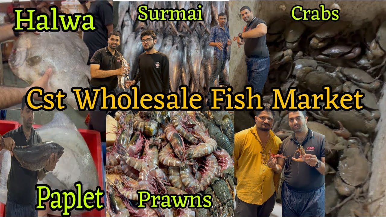 CST Fish Market | Mumbai Fish Wholesale Fish Market | CST Wholesale Fish Market Mumbai | Wholesale 