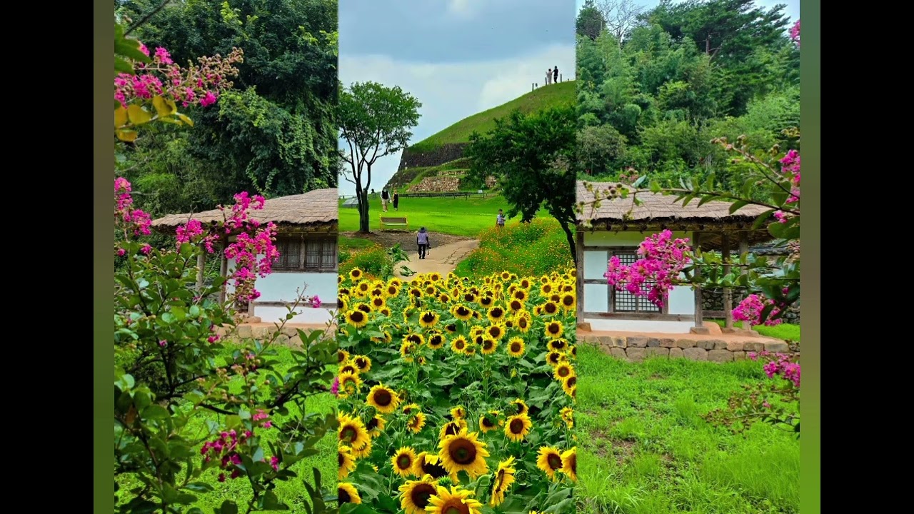 조아부러(기다리라 해놓고)#작사 # 김현수#사진영상#가사첨부🌺🌺🌺🌺🌺🌺🌺🌺🌺🌺🌺🌺🌺🌺🌺