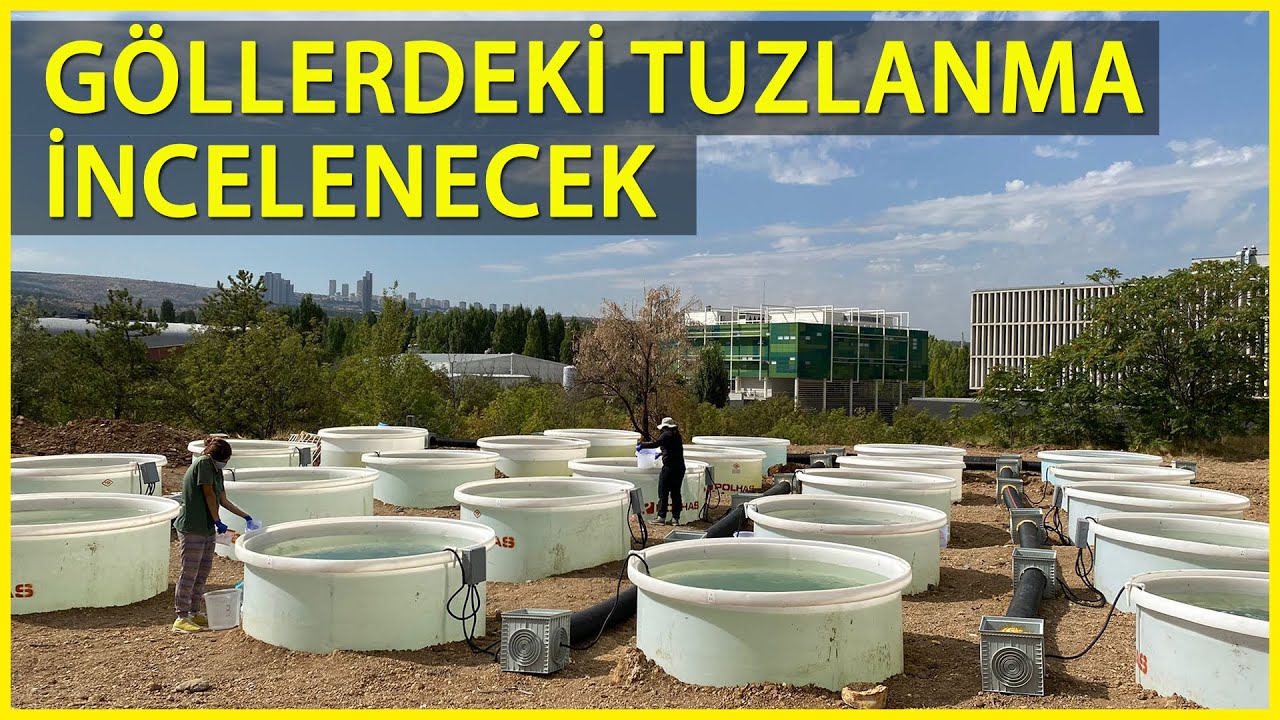 ODTÜ'den Göllerdeki Tuzlanmanın Ekosisteme Etkisini Ortaya Çıkaracak Çalışma