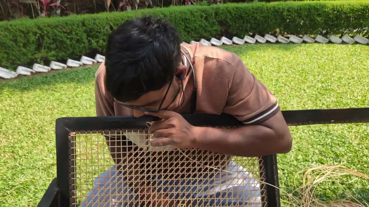 Viral Video Of Goan Portuguese Chair Weaving Rare Footage 