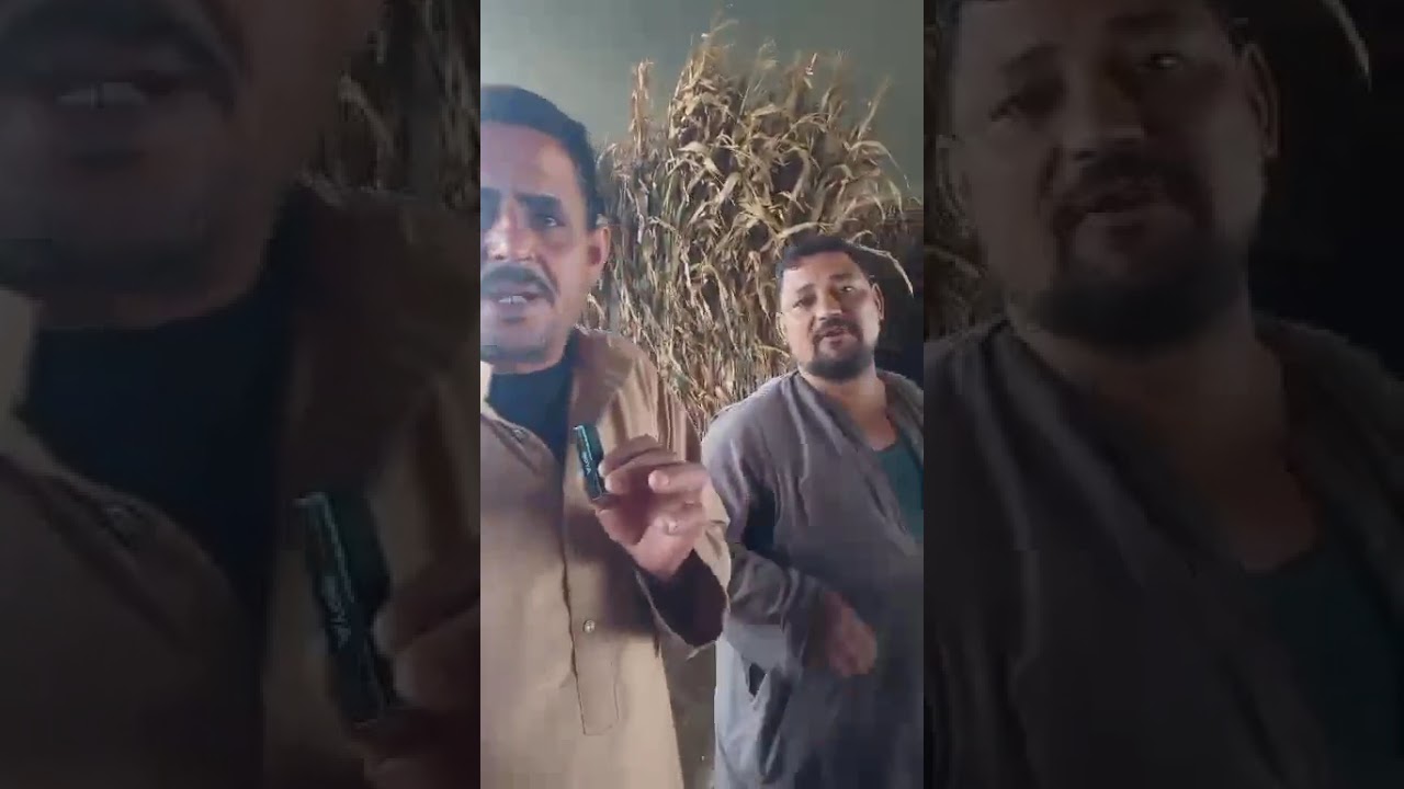 🔥 دلهمو بتغرق.. بيوت مهدمة وصرخات الأهالي تهز المنوفية 