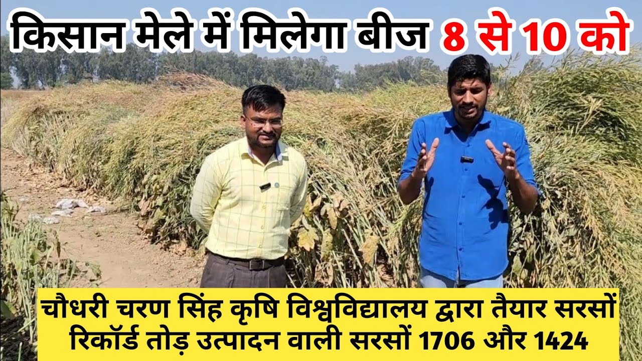 सरसों की नई वैरायटी लॉन्च हिसार किसान मेले में मिलेगा बीज सरसों की टॉप वैरायटी लॉन्च