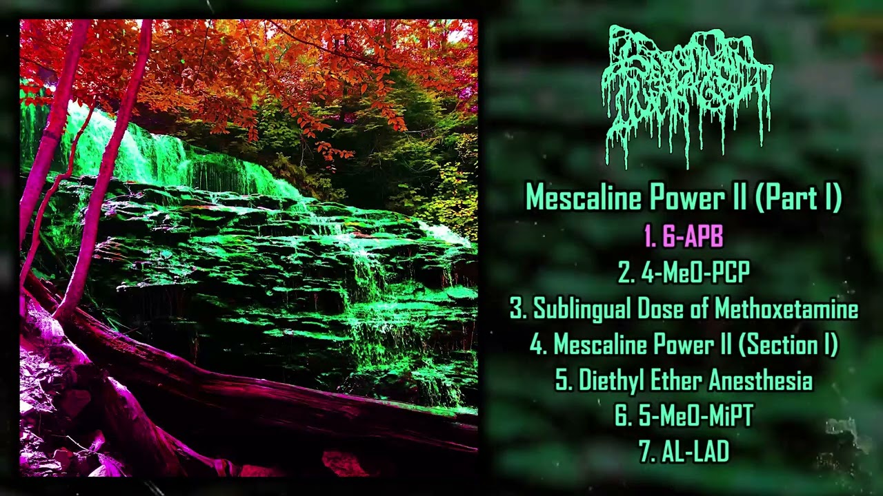 Serotonin Leakage - Mescaline Power II (Part I) FULL ALBUM (2023 - Black Metal / Goregrind)