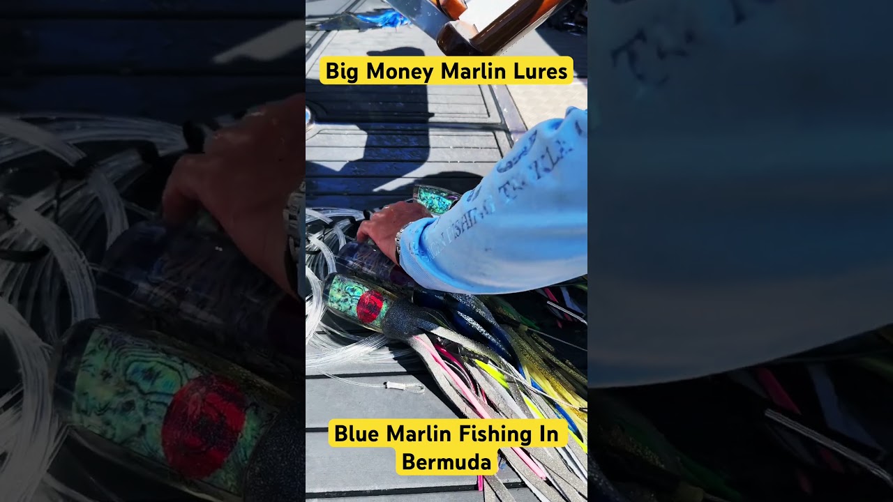Big Blue Marlin Lures | Fishing Lures | Deep Sea