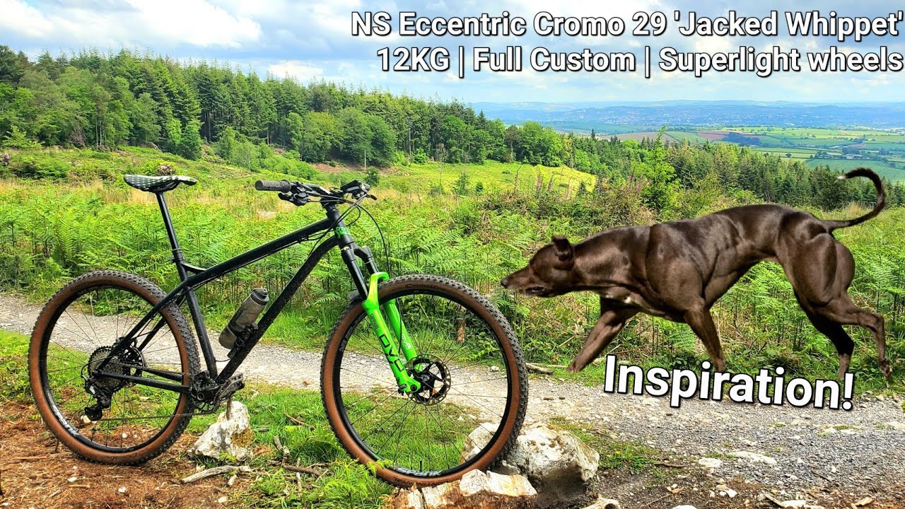 My Full Custom 2024 NS Eccentric Cromo 29 hardtail MTB dream build and ride