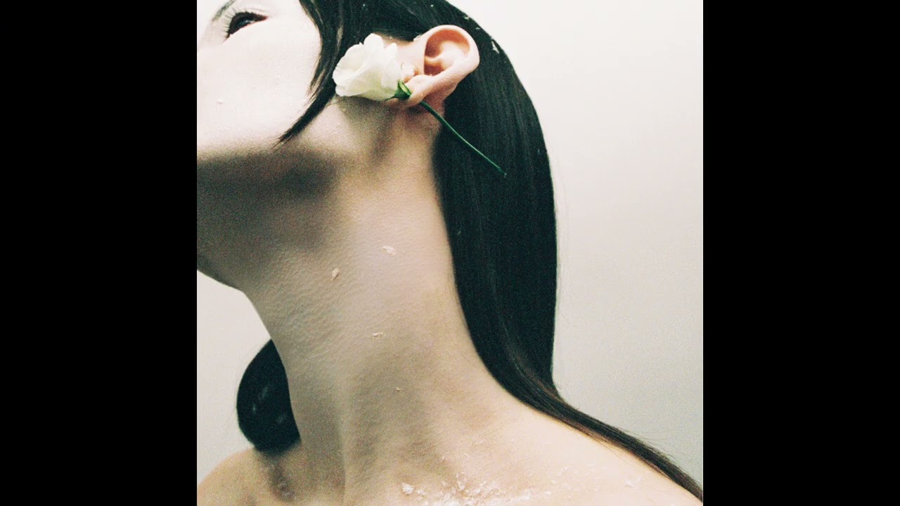 Rosa Damask – Adore You
