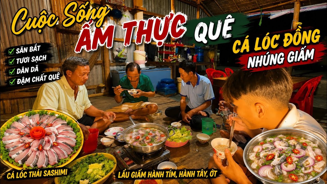 Cá Lóc Đồng Bự Tả Phí Lù “Nhúng Dấm” Món Ngon Dân Dã Miền Sông Nước #cuocsongmientay #fishing 