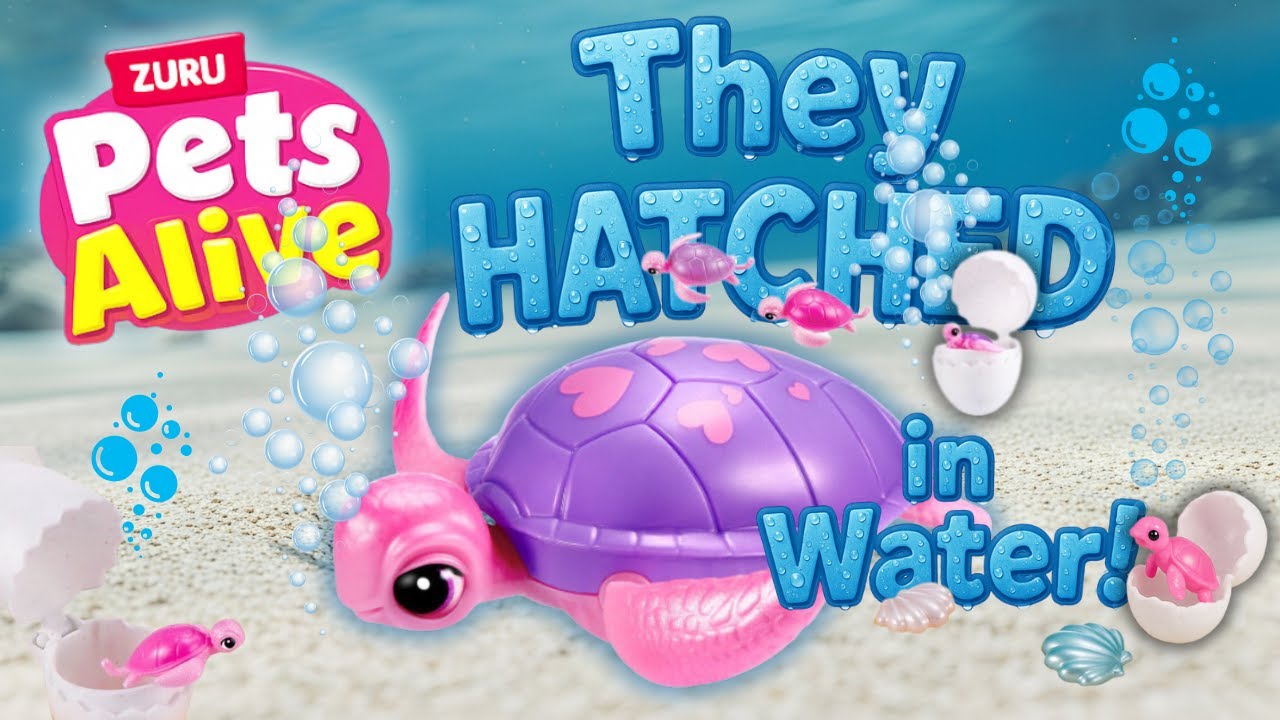 Baby Turtles HATCH Underwater! 🐢💧