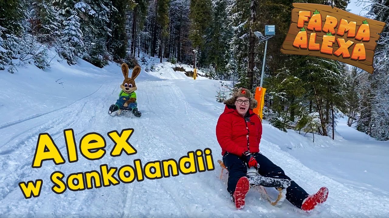 Alex w Sankolandii! | Zobaczcie królika na sankach! | Nauka i zabawa dla dzieci
