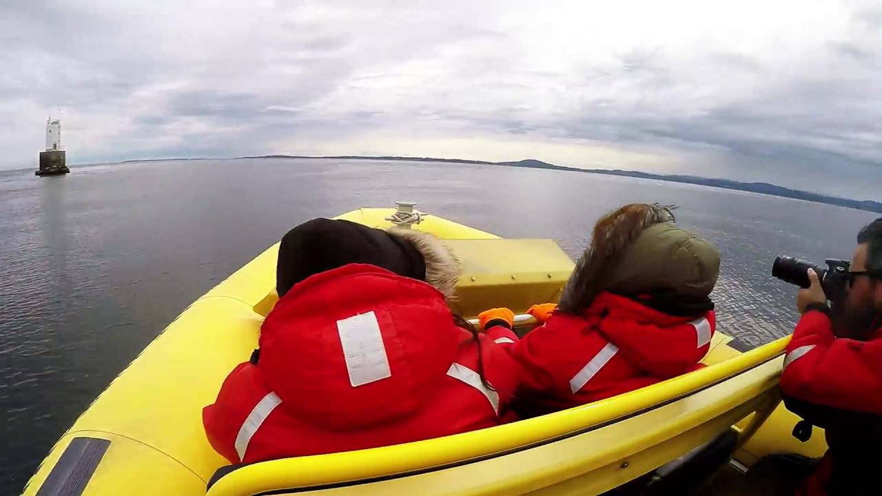 Zodiac Whale Watching near Victoria, BC