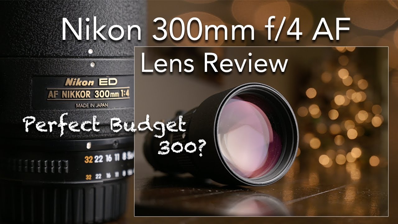 Обзор объектива Nikon 300mm f/4 AF ED / примеры изображений / Идеальный бюджетный объектив 300 мм...