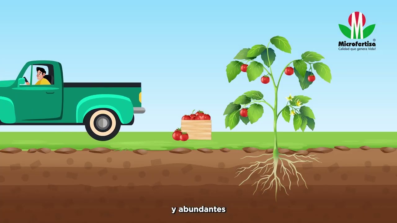 Nutrición Edáfica_La U Microfertisa (parte 5)