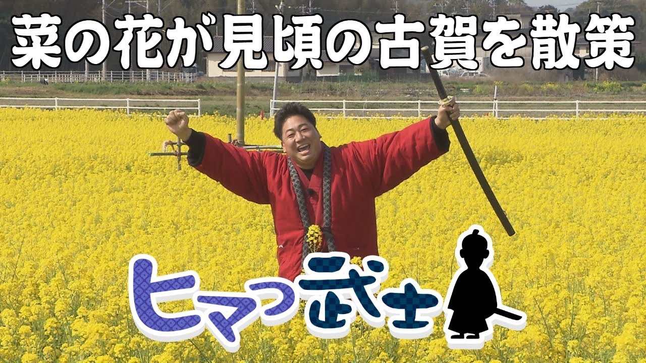 【古賀市】500万本の菜の花が見頃！街の人達とのふれあいも「ヒマつ武士」（2023年3月23日OA）