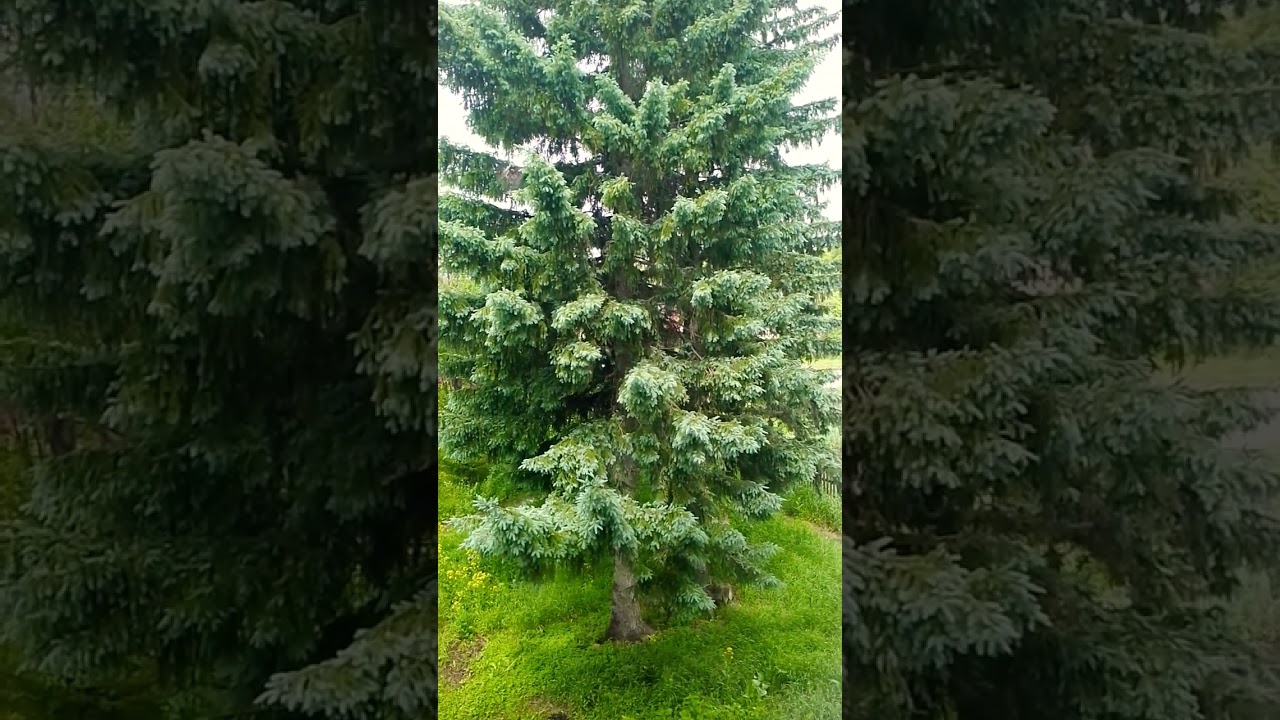 24 мая 2025 г.