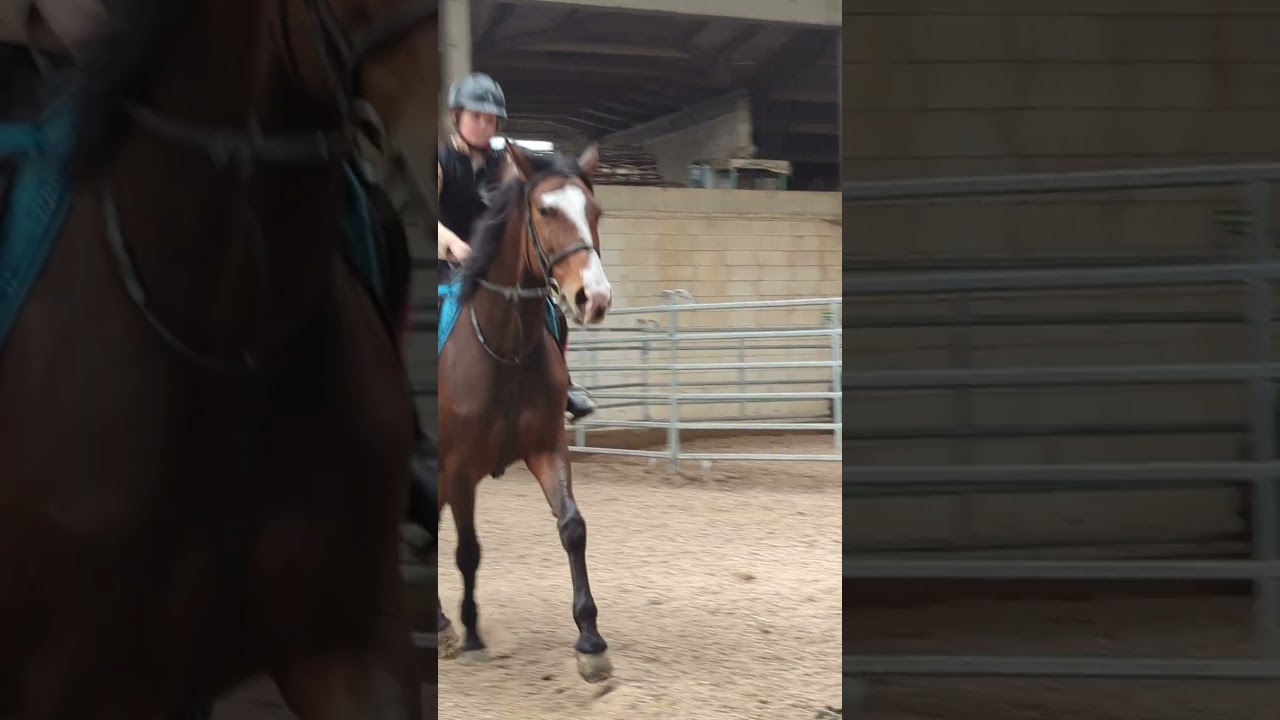Galop 🐎
