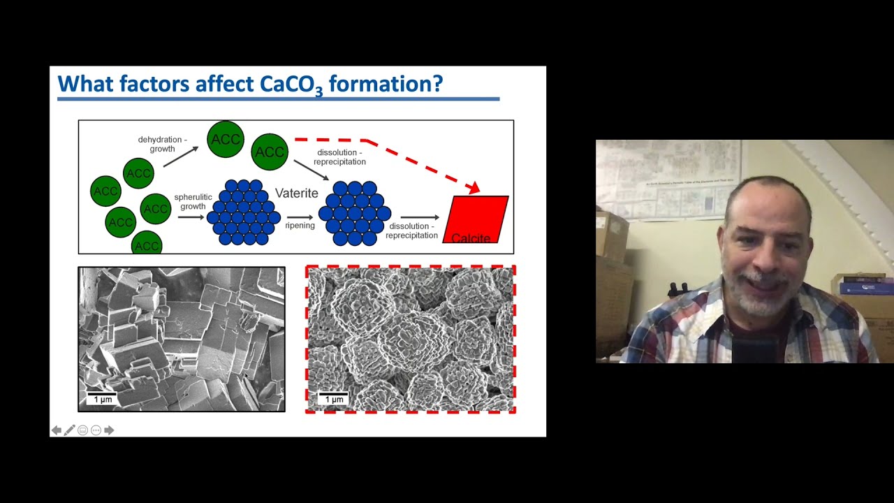 Lecture: From atoms to minerals: how calcium carbonates form and why we should care