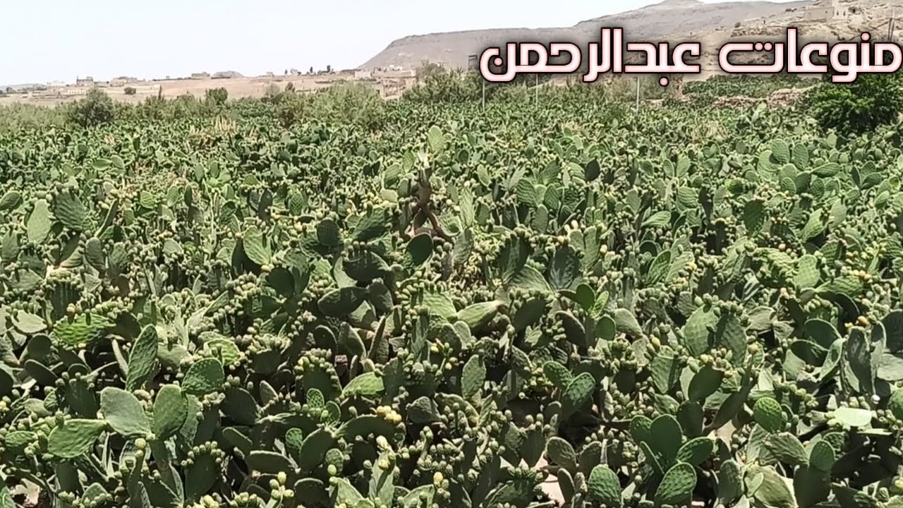 زيارة إلى قرية غيمان التاريخية 😍 و حاجز اسعد الكامل