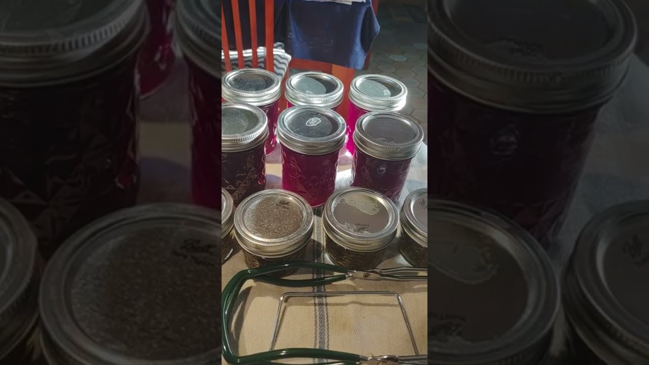 Jam and Jelly Day!  Making a sticky kitchen