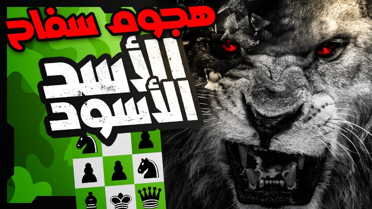 مباراة هجومية بافتتاح الاسد الاسود 🦁