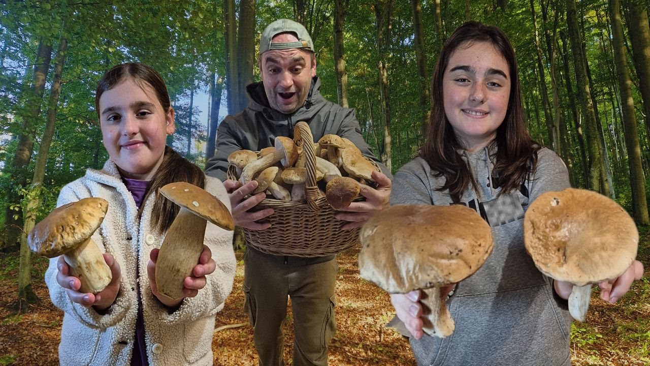 Hríbový šok! Mal to byť dozber - OBROVSKÉ DUBÁKY - Na huby s rodinkou 8 - ZBER HÚB 2025