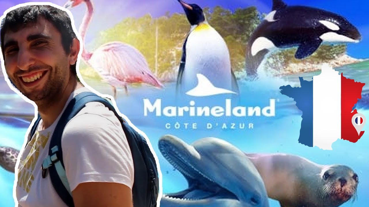 VLOG # 1 - UNE JOURNÉE EN FAMILLE À MARINELAND AVEC LES ANIMAUX MARINS !