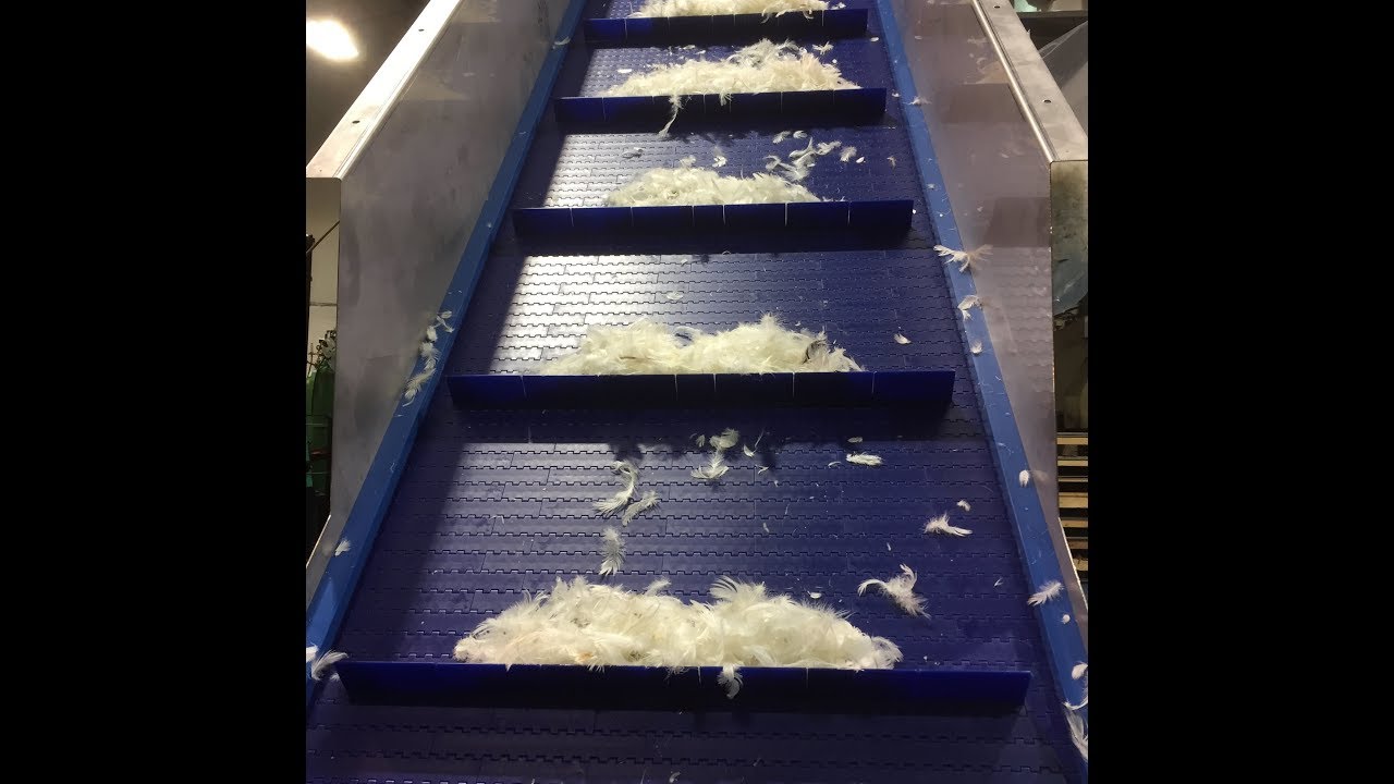 Cleated Belt Conveyors May 2019