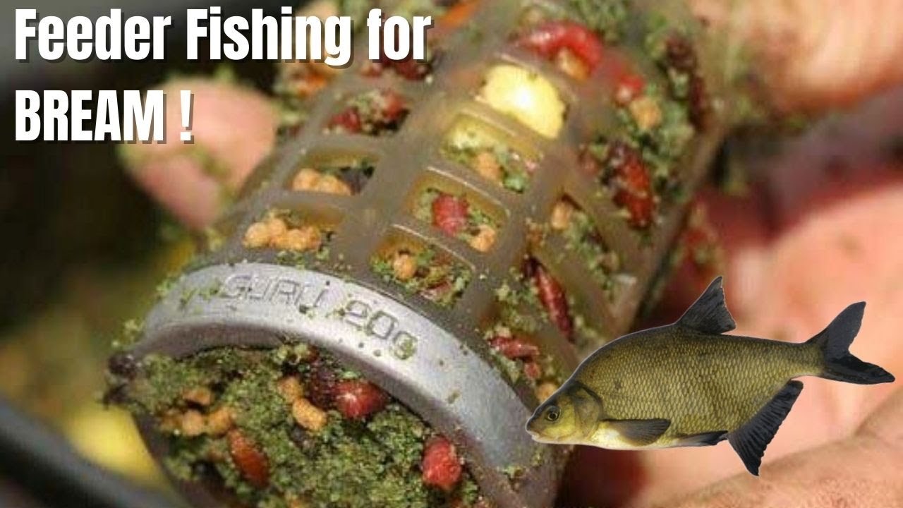 Catching Bream and Skimmers on the groundbait feeder