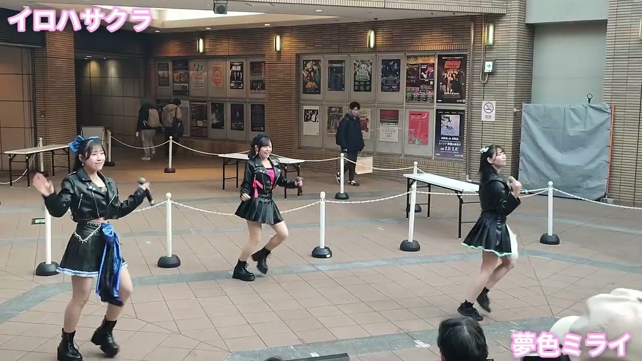 イロハサクラ / 夢色ミライ (2026/01/17)