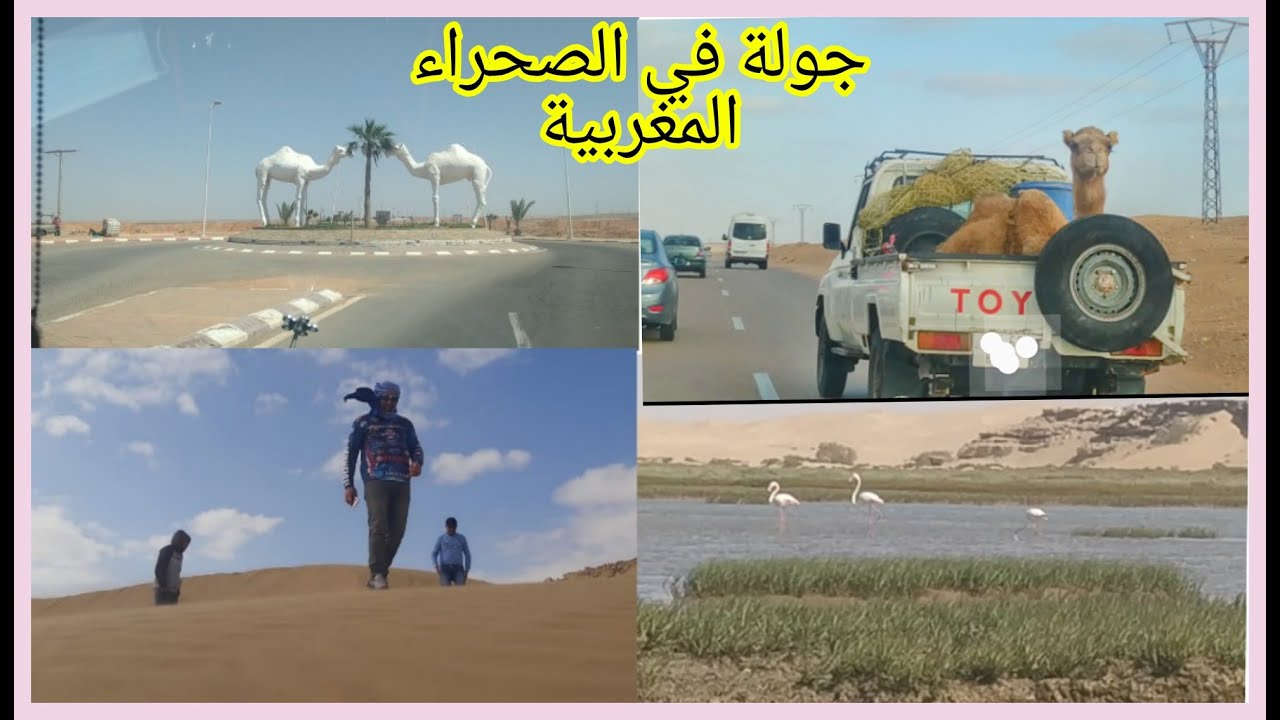 جولة في الصحراء المغربية العيون طرفاية النعيلة اخفنير الوطية طانطان كلميم سيدي ايفني