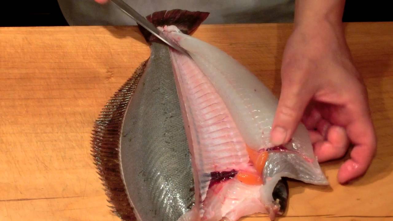 《鮃(ヒラメ)の刺身》・・・・大和の 和の料理《刺身》