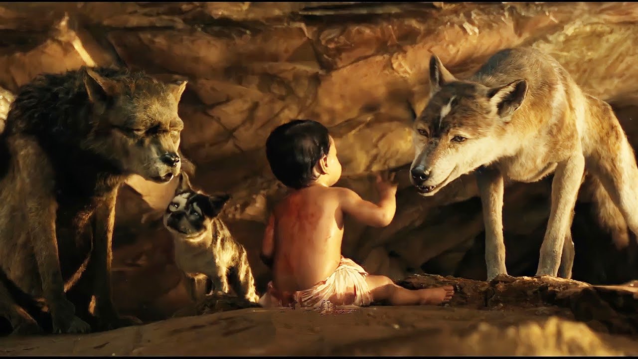 طفل تاية في الغابة اتربي مع الحيوانات🐒ولما كبر انتقم من اللي قتل أبوه بطريقه غريبة🔥فيلم (Mowgli)