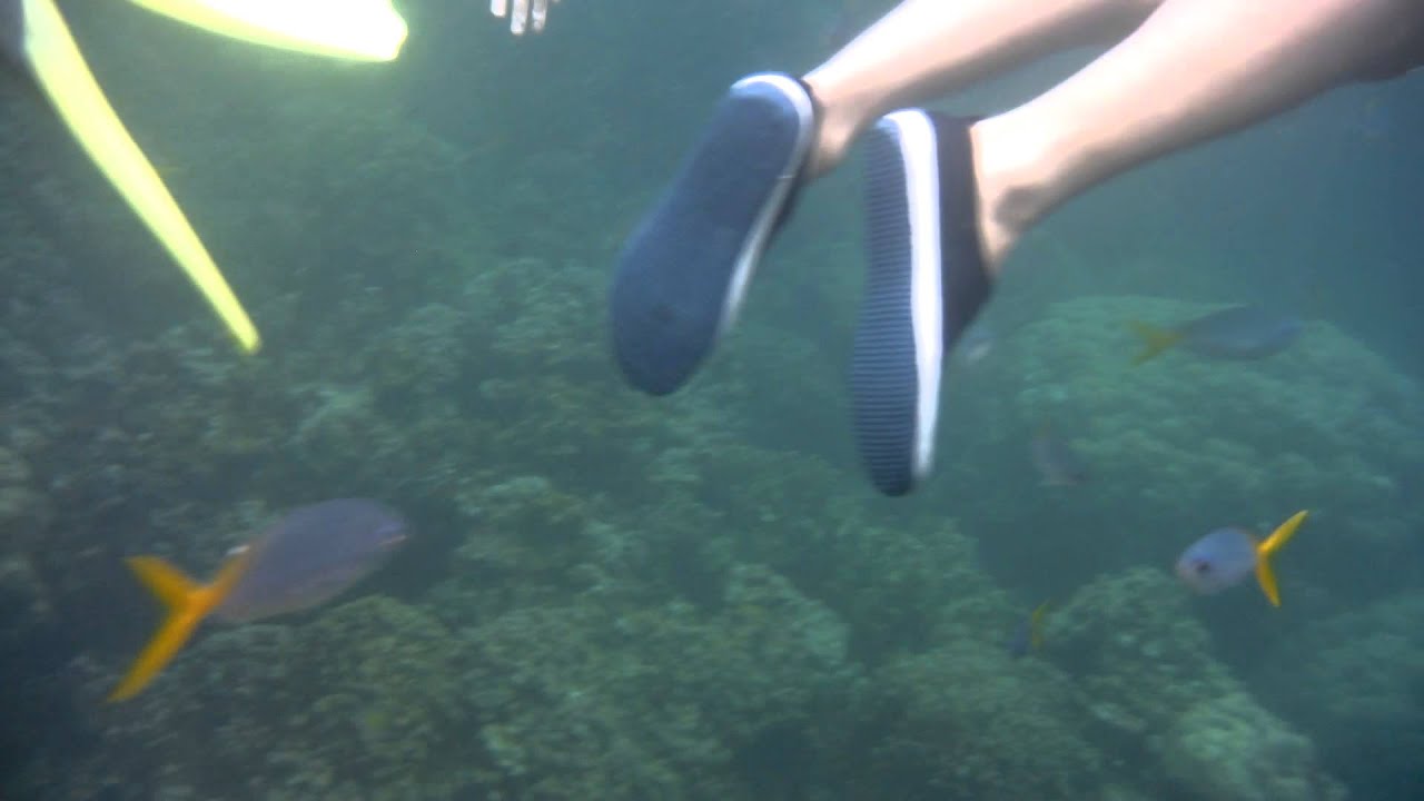 帛琉-Nikko Bay珊瑚浮潛區