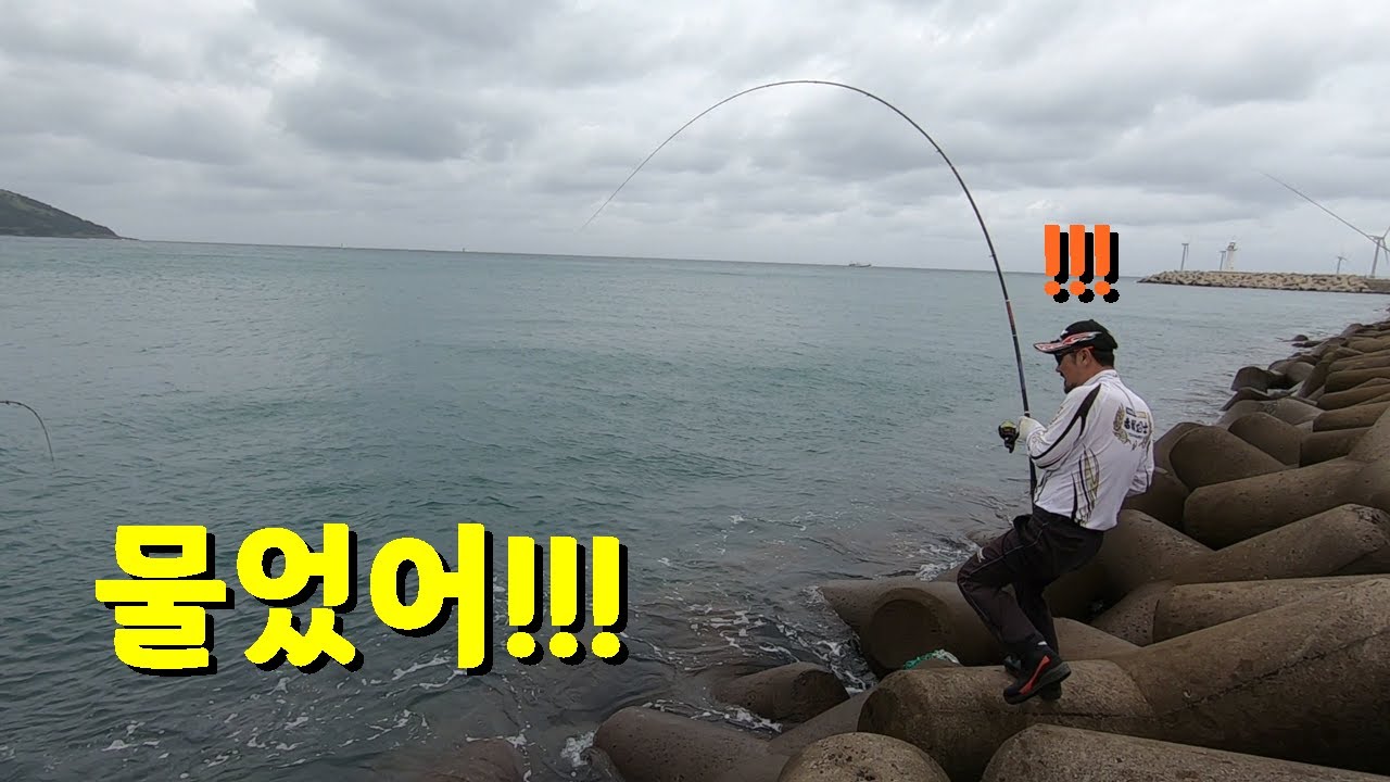활처럼 휘어져 버린 낚시대! 오늘은 꼭 돌돔 잡습니다. (ft. 구독자 5천명 이벤트 안내)