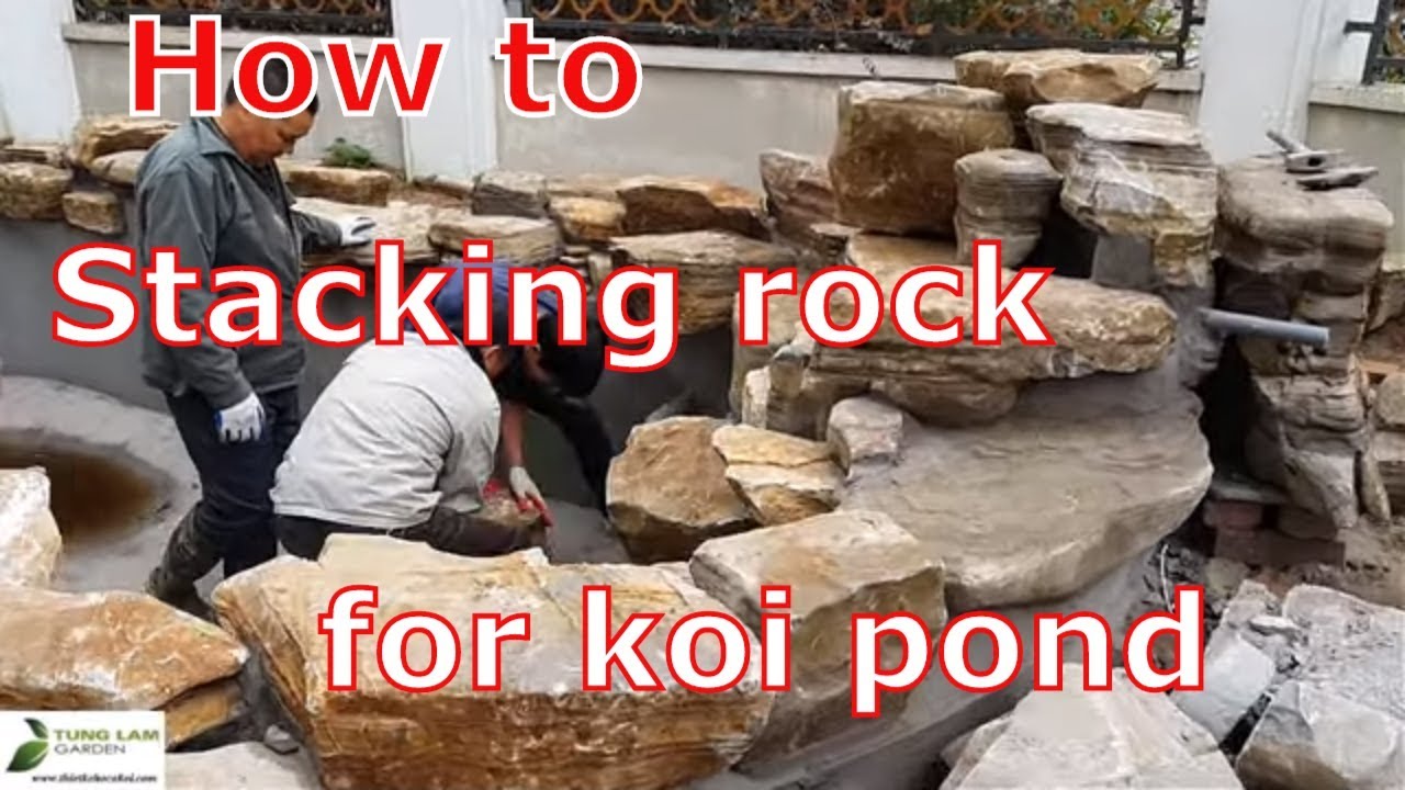 ✅KOI.92-Thi công Xếp đá Hồ cá Koi & sân vườn nhà anh Toàn, Biệt thự Tây hồ Tây/TungLam Garden