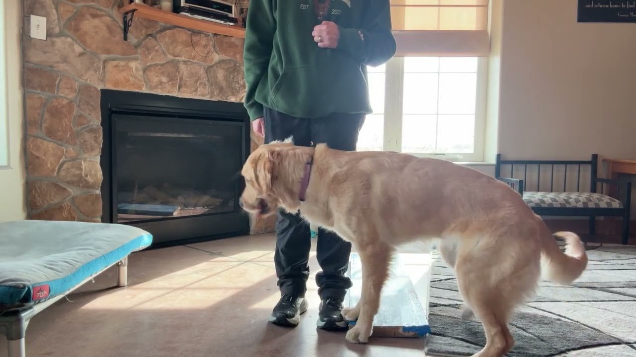 Learning where to mark and where to position myself to get success.