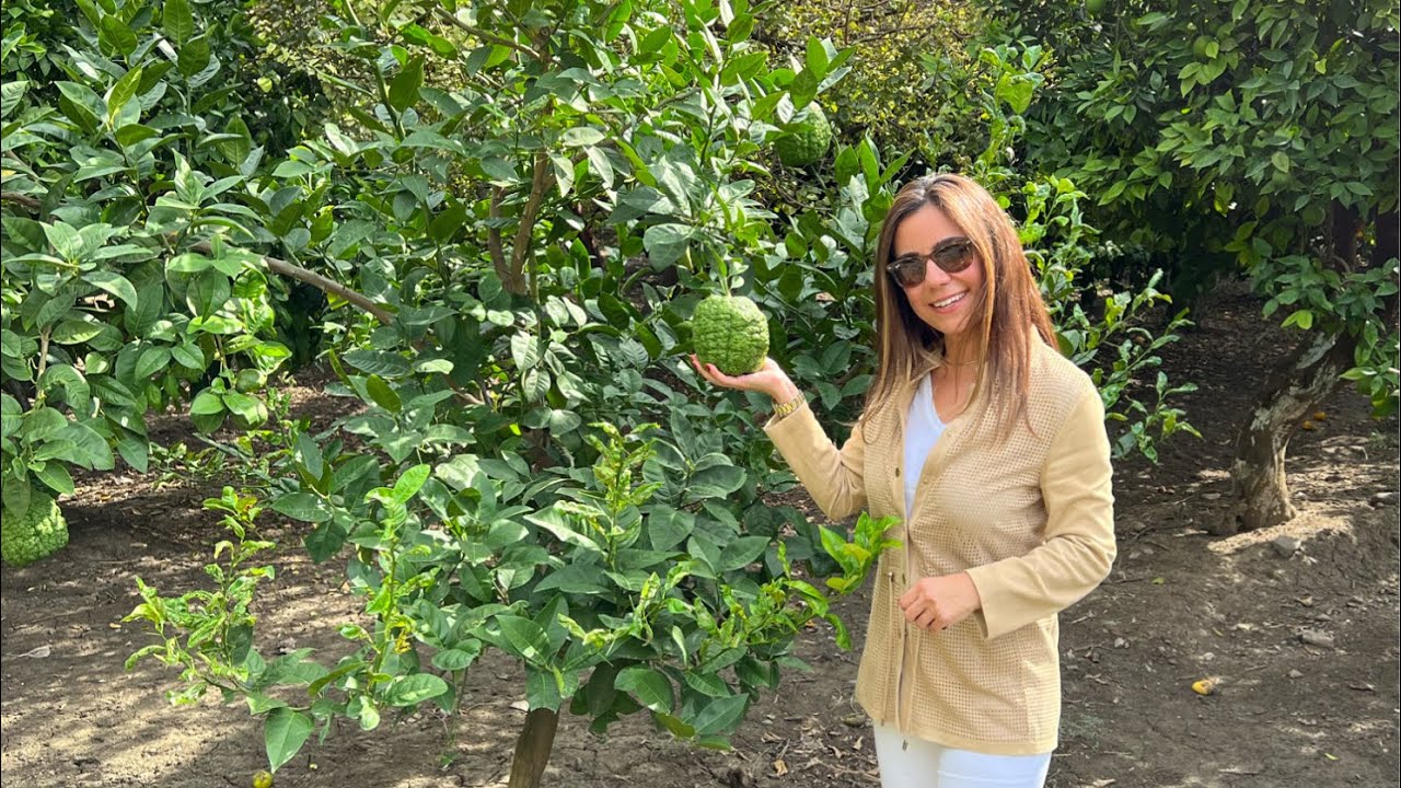 Hatay&rsquo;ın Toscana&rsquo;sı ve Hatay Y&ouml;resel Yemekleri Teofarm &Ccedil;iftliği