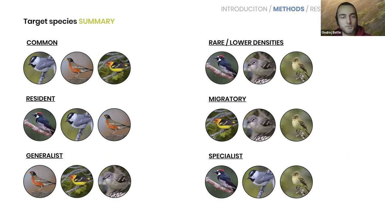 BioacousTalks: Limitations of big passive acoustic data for ecological research by Ondřej Belfín