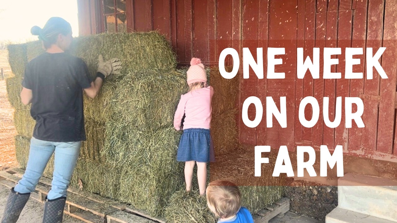 Simple Day in the Life on a Small Farm