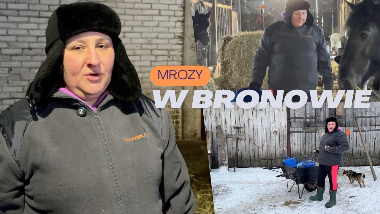 Mrozy w Bronowie