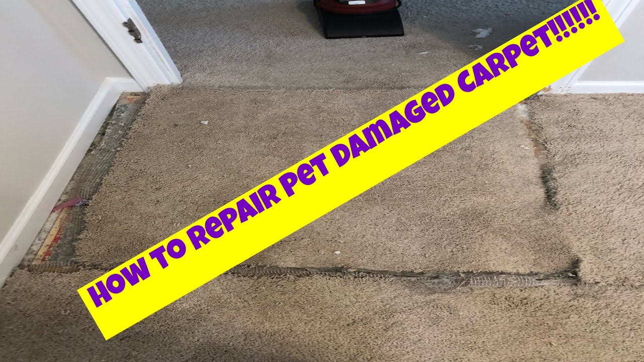 Pet Damage Carpet Repair