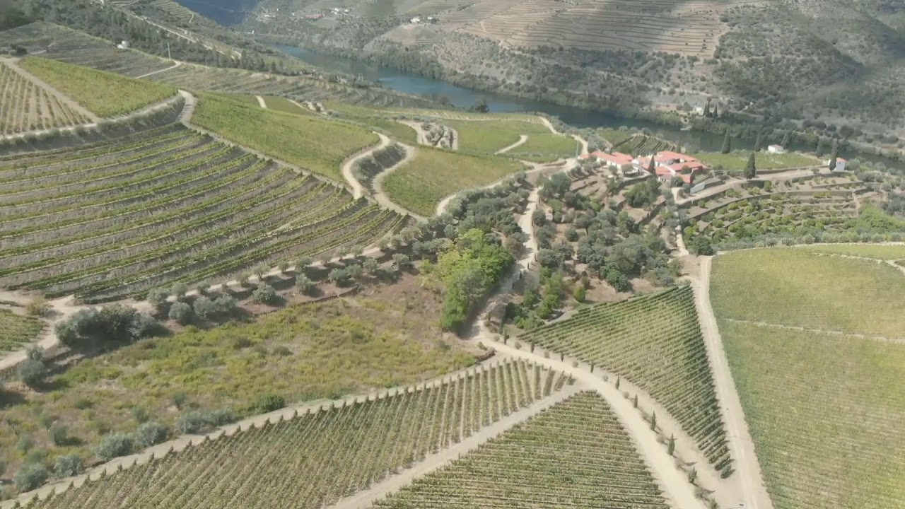 Quinta da Gricha - Ervedosa do Douro - Portugal