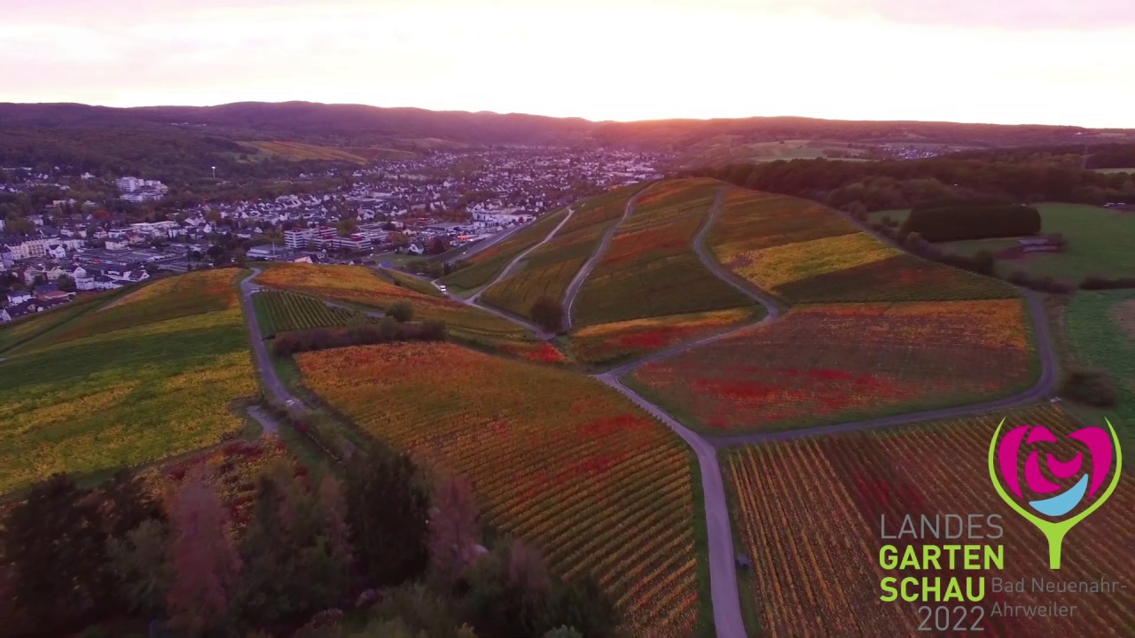 Die Weinberge im Herbst - traumhafte Aussicht im Ahrtal