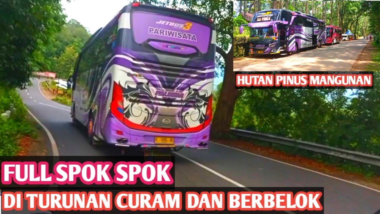 AKSI BUS FALISHA DI JALUR EKSTREM HUTAN PINUS MANGUNAN JOGJA