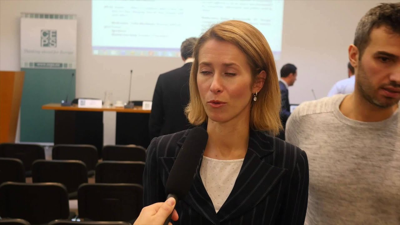 Interview Kaja Kallas   What is a platform