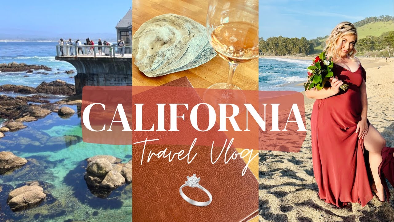 California Travel Vlog - Carmel Wedding, Monterey Bay Aquarium, Paso Robles Wine Tasting, Sea Lions!