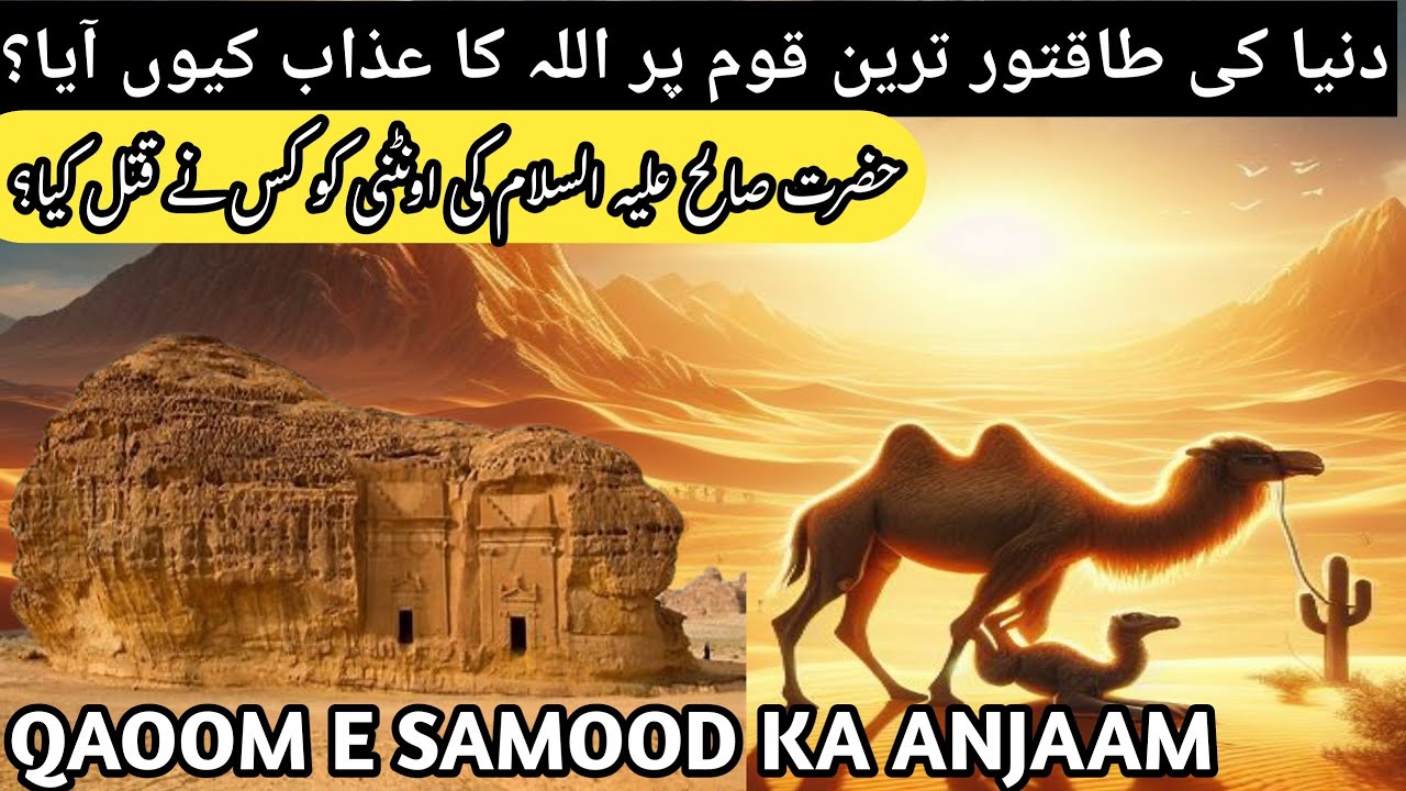 Discover the Terrifying End of Qaum-e-Samood|qaum e samood ka anjam|qasas un nabiyeen|rabkirehmat