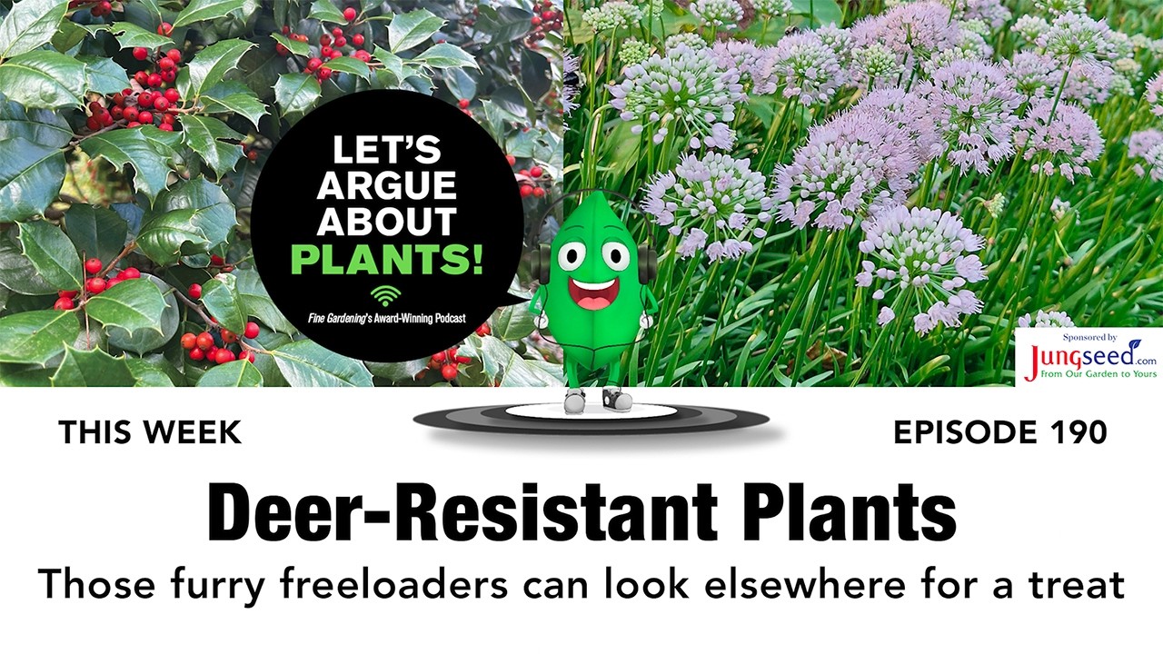 Our Favorite Deer-Resistant Plants! 🦌 Let's Argue About Plants Podcast #gardendesign