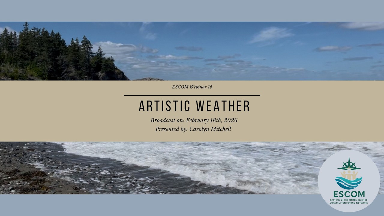ESCOM Webinar 15 with Carolyn Mitchell: Discussing Weather Through Art