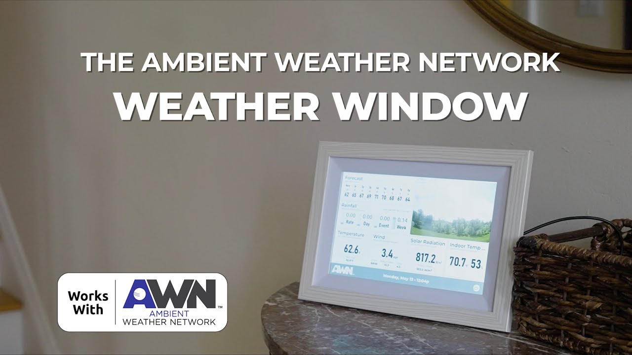 Ambient Weather Network Weather Window