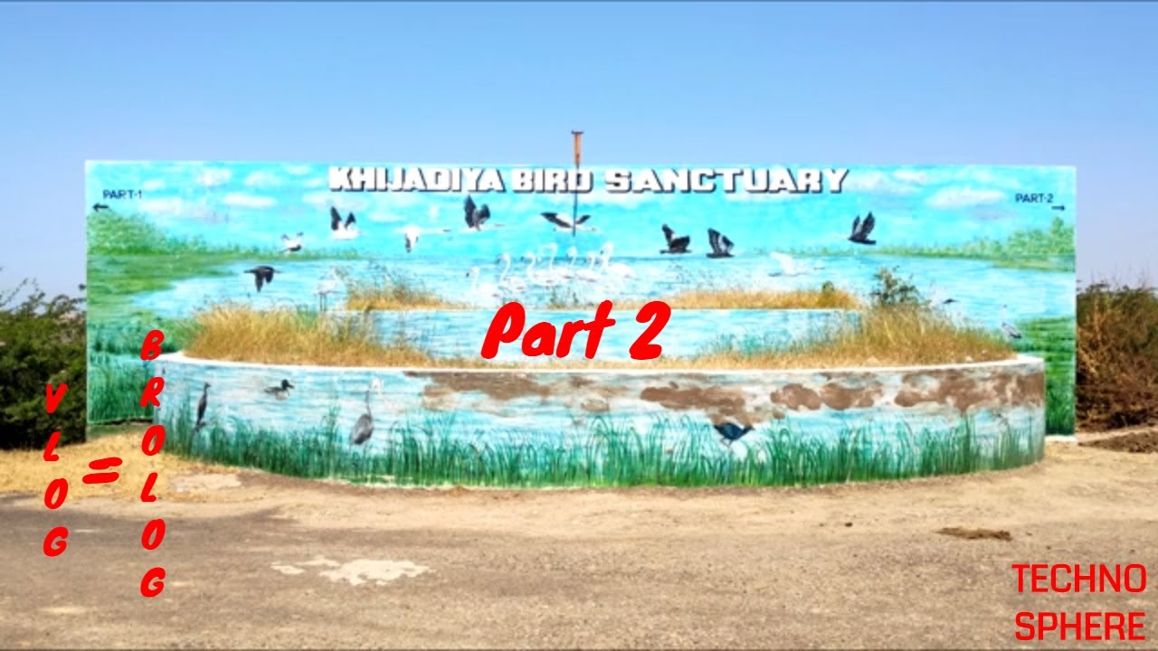 Khijadiya Bird Sanctuary Part 2 | Bird's Paradise in Jamnagar | VLOG | VLOG=BROLOG